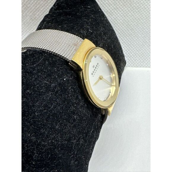 Skagen 358SGSCD Women Stainless Steel Mesh Analog Dial Quartz Wrist Watch AEA133 main image 8